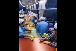 Специалист по качеству изделий на заводе в Таиланде