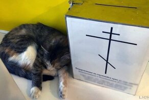 На Урале церковь обвинили в оскорблении чувств верующих