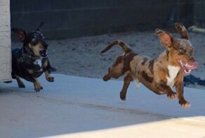 Для настроения