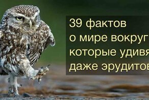 39 фактов о мире вокруг, которые заставят открыть рот даже самых умных из нас
