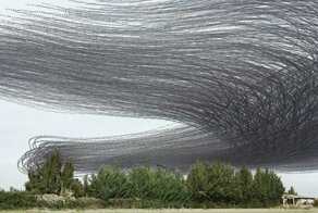 Фотограф показал, как в небе выглядят следы птиц