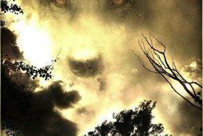 Прости меня, пёс!