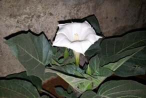 9 самых сложных испытаний мужественности