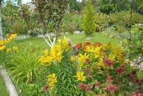 5 причин, почему я разочаровался в даче