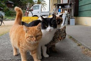 Утренняя подборка картинок