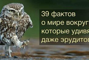 А вдруг ты не знал