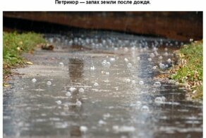 Слова, которые удивят вашего собеседника