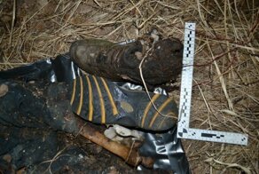 В Омской области нашли человеческий скелет, привязанный к дереву