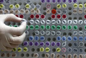 ДНК предъявите, пожалуйста. О генетических паспортах