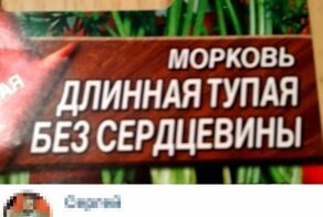 Скрины из социальных сетей