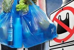 В Госдуме задумались о запрете в России полиэтиленовых пакетов