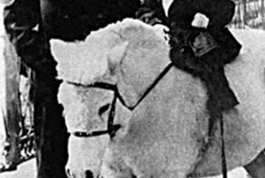 Кем выросли дети актеров Вицина, Никулина и Моргунова и где они сейчас