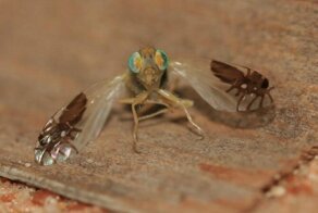 Сколько в мире всего любопытного!