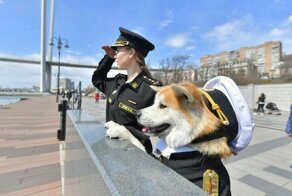 Утренняя подборка картинок