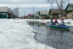 Весна 2019 года глазами потерпевших