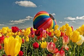 Фотоподборка за 15.04.2019