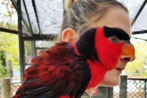 15 фотографий из серии «показалось», которые приобрели неожиданный поворот благодаря животным