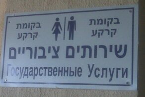 Трудности перевода