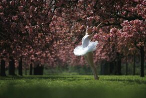 Утренняя подборка картинок