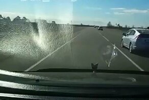 Авария дня. На амурской трассе кроссовер вылетел с дороги