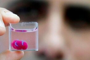 Прорыв в медицине: ученые впервые напечатали на 3D-принтере живое сердце