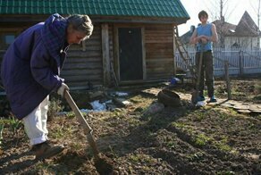 Огородная болезнь. Как можно подорвать здоровье на садовом участке
