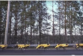 Почти армия: роботы Boston Dynamics сбились в стаю