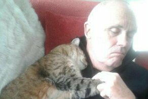 Мужчина после операции очнулся в обнимку с незнакомой кошкой