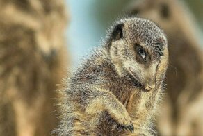 Конкурс "Трэвел-фотограф года" приглашает участников