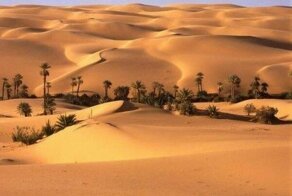 Несколько фактов из Книги всеобщих заблуждений