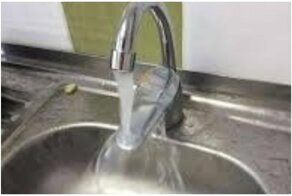 Видеообзор из жизни 15 несчастных раковин