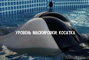 Маскировка божественного уровня