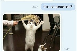 Смешные комментарии и картинки из соцсетей