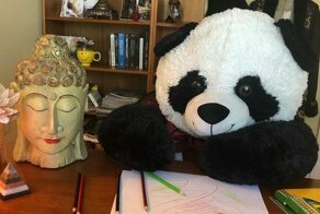 Эта панда была выброшена в мусорку, но неравнодушные люди спасли её