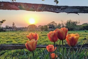 Фотоподборка за 22.04.2019