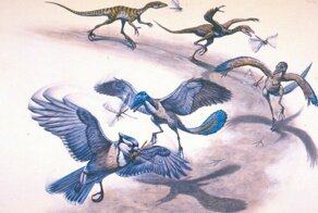 Вклад выдающихся учёных в эволюционную теорию