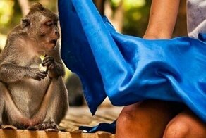 20 весёлых представителей животного мира, которые демонстрируют самые неподдельные эмоции
