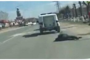 Выпавший из полицейской машины на дорогу задержанный не растерялся и ушел