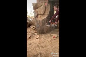 Шедевральная работа мастера резьбы по дереву