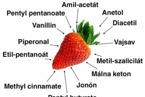 10 неожиданных фактов о продуктах, после которых мы будем иначе смотреть на нашу еду