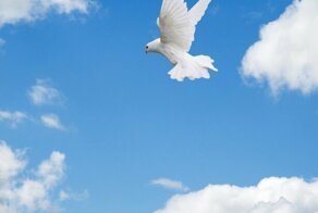 Благословенные сердца, ч.2