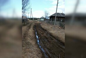 В этой новости прекрасно всё