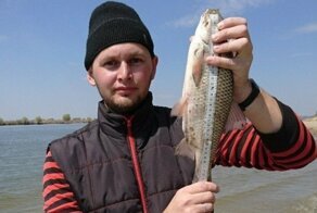 Астраханец поймал огромную воблу и поделился фото трофея