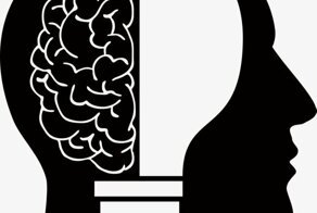 Обзор тренажёров для мозга + Бонус!