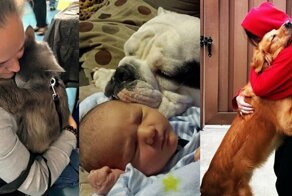 Фотографии безусловной любви домашних животных