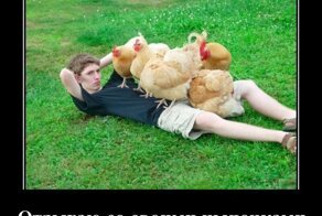 Свежая подборка демотиваторов, которые поднимут вам настроение