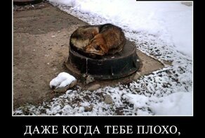 Когда вокруг ж.... надо думать о хорошем