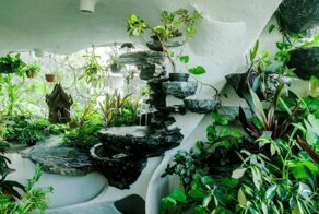 Райский уголок в мегаполисе: растения вдохнули жизнь в однокомнатную квартиру