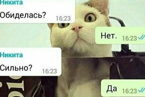 15 смешных и честных СМС, которые могли отправить друг другу только супруги