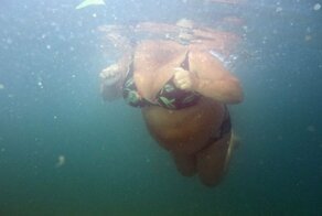 У самого Черного моря